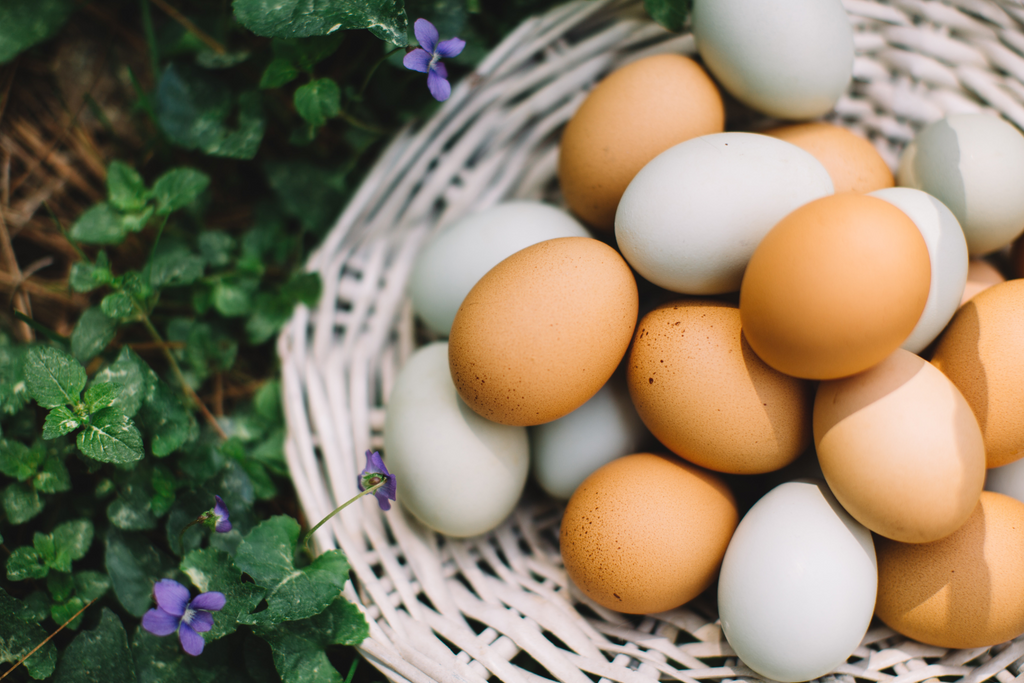 Are You Ready to Freeze Dry Eggs? Here's How
