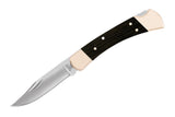 Buck Knives The 110 Folding Hunter Knife
