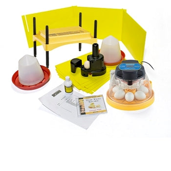 Brinsea Mini II Classroom Incubator and Brooder Pack