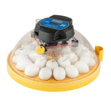 Brinsea Maxi 24 EX Fully Automatic 24 Egg Incubator