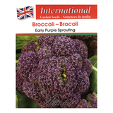 Aimers International Seeds - Broccoli - Early Purple Sprouting