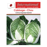 Aimers International Seeds - Cabbage - China Express Hybrid