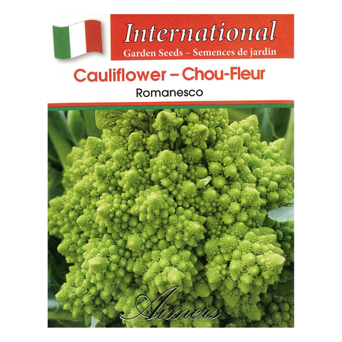 Aimers International Seeds - Cauliflower - Romanesco