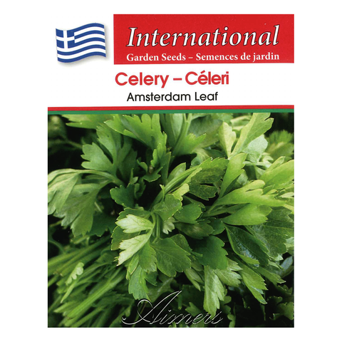 Aimers International Seeds - Celery - Amsterdam Leaf