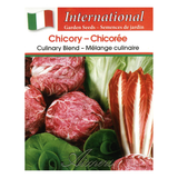 Aimers International Seeds - Chicory - Culinary Blend