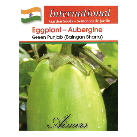 Aimers International Seeds - Eggplant - Green Punjab (Baingan Bharta)