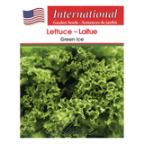 Aimers International Seeds - Lettuce - Green Ice