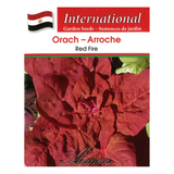 Aimers International Seeds - Orach - Red Fire