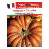 Aimers International Seeds - Pumpkin - Musquee de Province