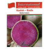 Aimers International Seeds - Radish - Watermelon