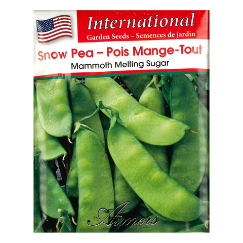 Aimers International Seeds - Snow Pea - Mammoth Melting Sugar