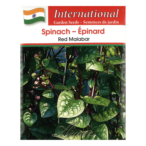 Aimers International Seeds - Spinach - Red Malabar