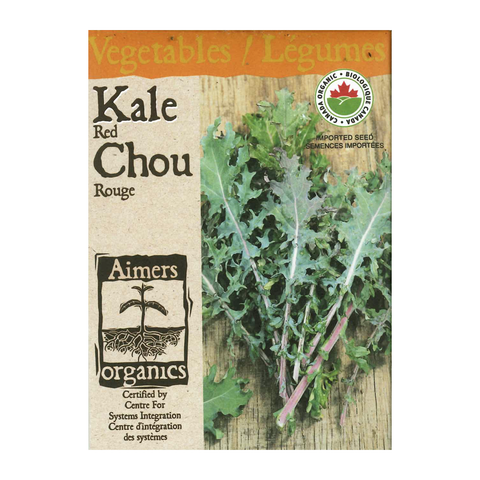 Aimers Organics Seeds - Kale - Red