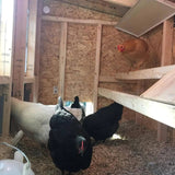 OverEZ Medium Farmhouse Coop - 10 Birds