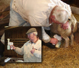 EZ Animal Products Udderly EZ Hand Sheep Milkers