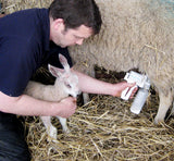 EZ Animal Products Udderly EZ Hand Sheep Milkers