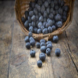 Ready Hour Freeze-Dried Blueberries Case