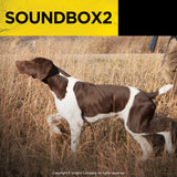 Dogtra Sound Box 2