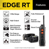 Dogtra Edge RT Training System