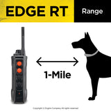 Dogtra Edge RT Training System