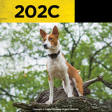 Dogtra 202C 2-Dog Training System
