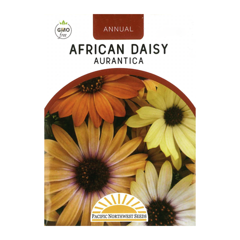 Pacific Northwest Seeds - African Daisy - Aurantica