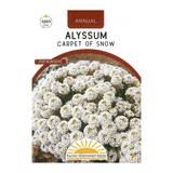 Pacific Northwest Seeds - Alyssum - Carpet of Snow