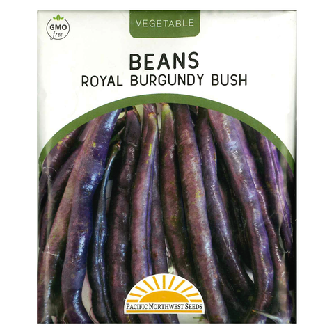 Pacific Northwest Seeds - Beans 4x5 - Royal Burgundy Bush