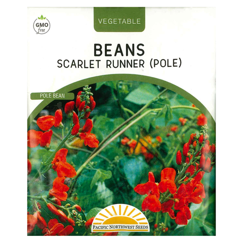 Pacific Northwest Seeds - Beans - Scarlet Runner