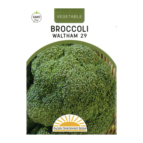 Pacific Northwest Seeds - Broccoli - Waltham 29