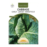 Pacific Northwest Seeds - Cabbage - Early Jersey Wakefield