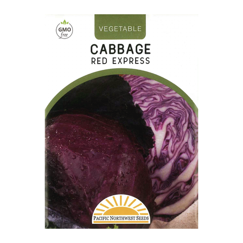 Pacific Northwest Seeds - Cabbage - Red Express