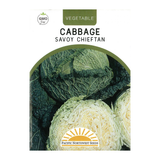 Pacific Northwest Seeds - Cabbage - Savoy Chieftan