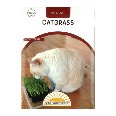 Pacific Northwest Seeds - Catgrass
