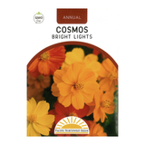 Pacific Northwest Seeds - Cosmos - Bright Lights