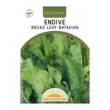 Pacific Northwest Seeds - Endive - Batavian