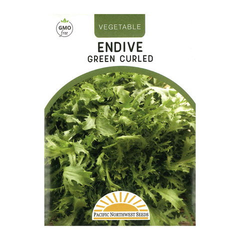 Pacific Northwest Seeds - Endive - Green Curled
