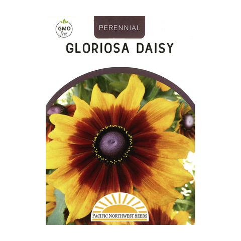 Pacific Northwest Seeds - Gloriosa Daisy