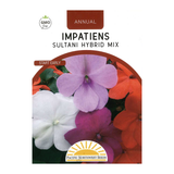 Pacific Northwest Seeds - Impatiens - Sultani Hybrid Mix