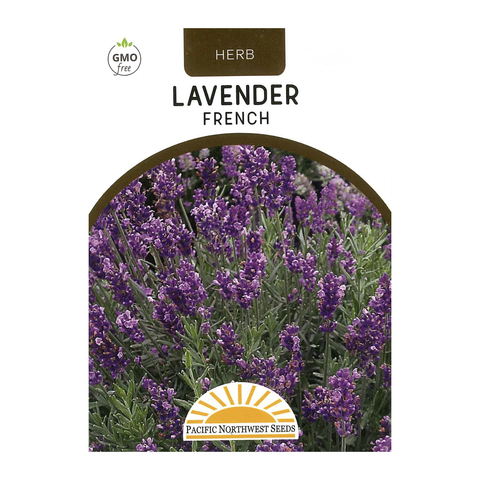 Pacific Northwest Seeds - Lavender - French