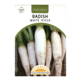 Pacific Northwest Seeds - Radish - White Icicle