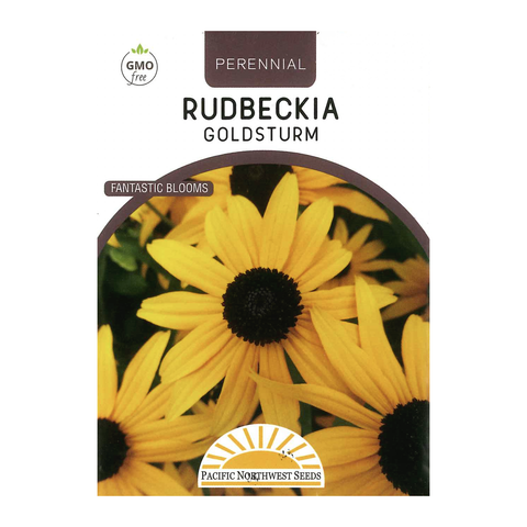 Pacific Northwest Seeds - Rudbeckia - Goldstrum