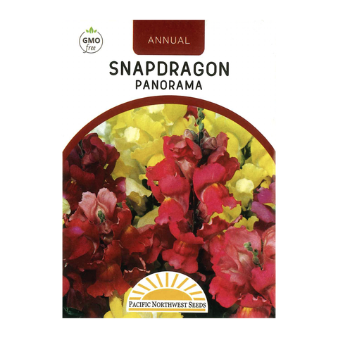 Pacific Northwest Seeds - Snapdragon - Panorama