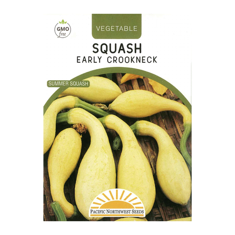 Pacific Northwest Seeds - Squash - Early Crookneck