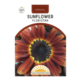 Pacific Northwest Seeds - Sunflower - Floristan