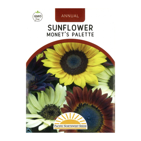Pacific Northwest Seeds - Sunflower - Monet's Palette