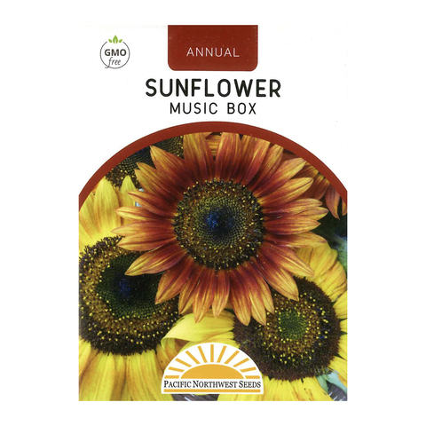 Pacific Northwest Seeds - Sunflower - Musicbox