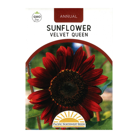 Pacific Northwest Seeds - Sunflower - Velvet Queen