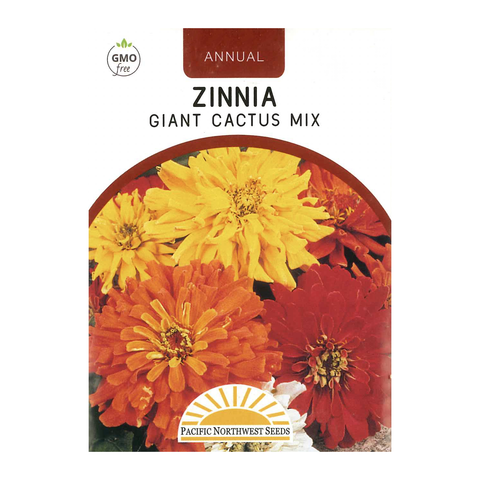 Pacific Northwest Seeds - Zinnia - Giant Cactus Mix