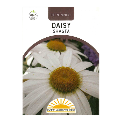 Pacific Northwest Seeds - Daisy - Shasta